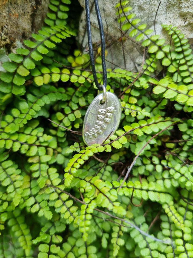 Asplenium and pendant